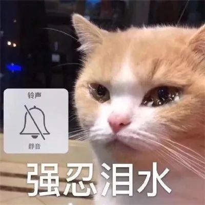 DƬ